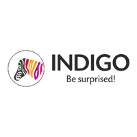 Indigo Paints