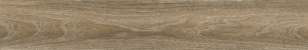 strio ryker wood walnut,Somany Tiles - The Design Bridge