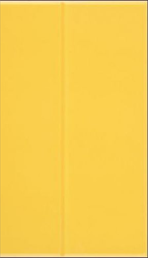 acero mango yellow,Somany Tiles - The Design Bridge